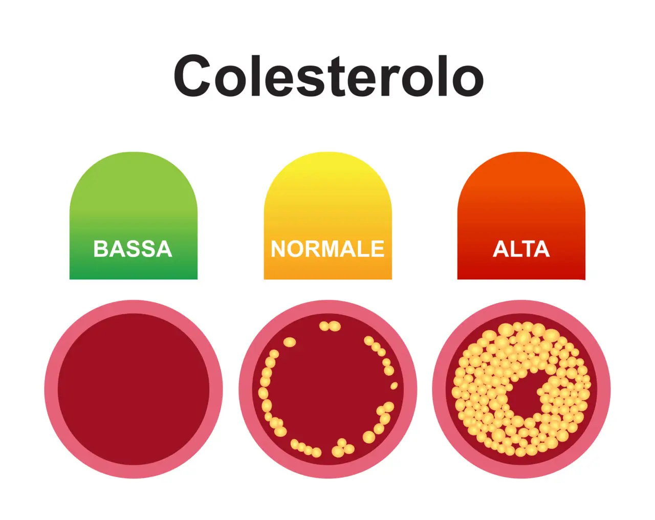 Articoli da leggere